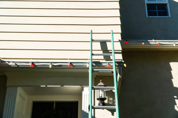 Best Aluminum Siding Installation  in Ladonia, AL