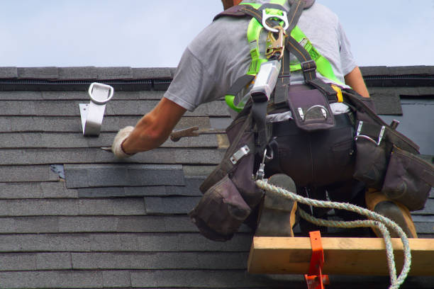 Storm Damage Siding Repair in Ladonia, AL