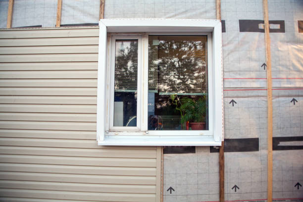 Best Aluminum Siding Installation  in Ladonia, AL