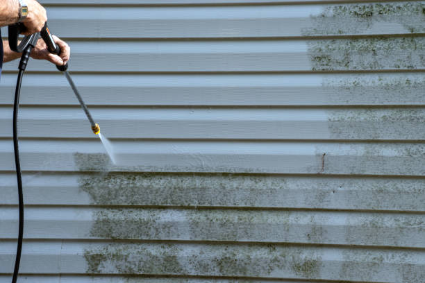 Best Composite Siding  in Ladonia, AL