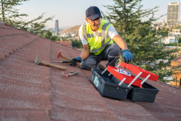 Best Fascia and Soffit Installation  in Ladonia, AL