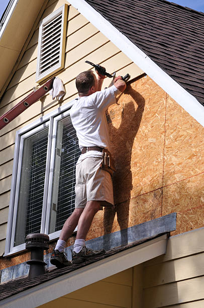 Best Storm Damage Siding Repair  in Ladonia, AL